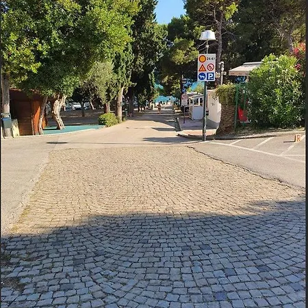Maja *